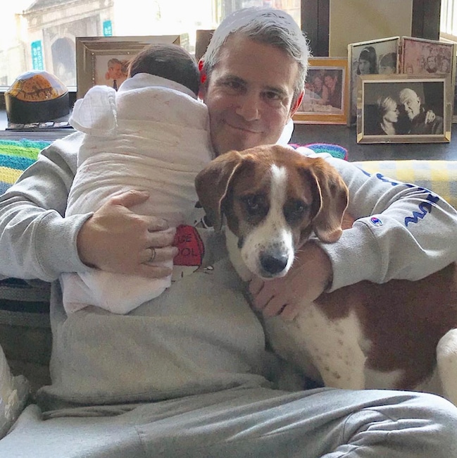 Andy Cohen, Celeb Valentine's Day